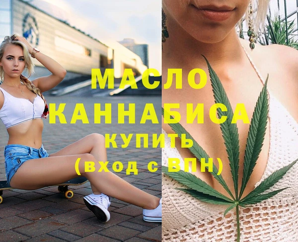 гидра Снежногорск