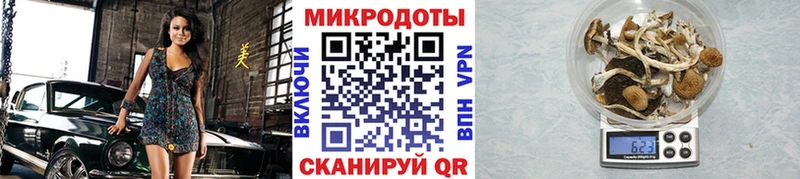 что такое   mega как зайти  Псилоцибиновые грибы Psilocybine cubensis  Волчанск 